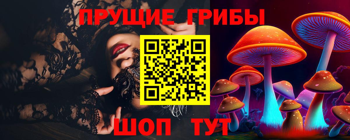 Благовещенск  Галлюциногенные грибы прущие грибы  Вход с VPN 